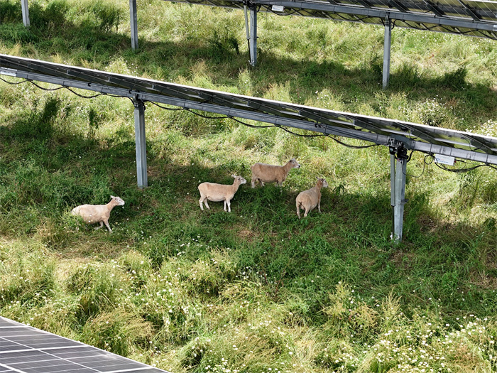 尊龙凯时 - 人生就是搏!